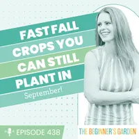 The Beginner's Garden with Jill McSheehy artwork