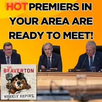 The Beaverton Weekly Report artwork