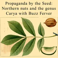 Propaganda By The Seed artwork
