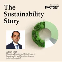 The Sustainability Story artwork