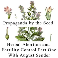 Propaganda By The Seed artwork