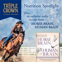 Stall and Stable: Ideas for Happy Horsekeeping artwork