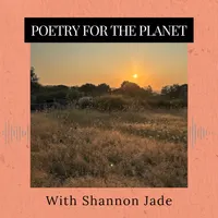 Roots and All - Gardening Podcast artwork