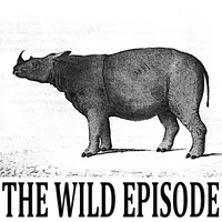 The Wild Episode artwork