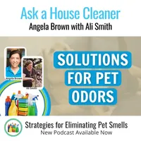 Ask a House Cleaner artwork