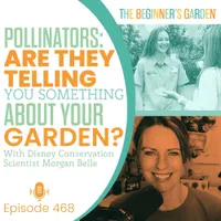 The Beginner's Garden with Jill McSheehy artwork