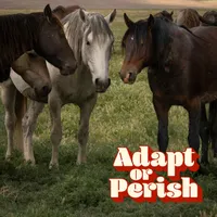 Adapt or Perish artwork
