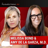 The Psychedelic Podcast artwork