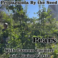 Propaganda By The Seed artwork