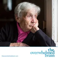 The Overwhelmed Brain artwork