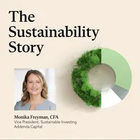 The Sustainability Story artwork