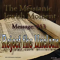 The Messianic Jewish Moment artwork