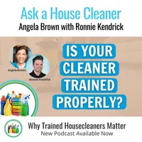 Ask a House Cleaner artwork