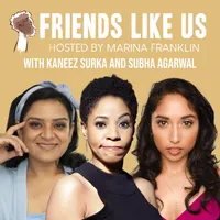 Friends Like Us artwork