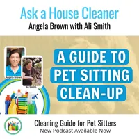 Ask a House Cleaner artwork