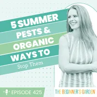 The Beginner's Garden with Jill McSheehy artwork