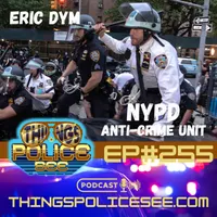 Things Police See: Firsthand Accounts artwork