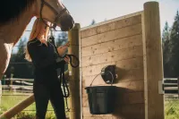 Stall and Stable: Ideas for Happy Horsekeeping artwork