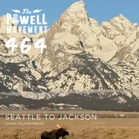 The Powell Movement artwork