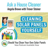Ask a House Cleaner artwork