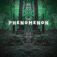 The Phenomenon artwork