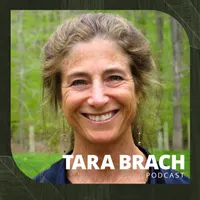 Tara Brach artwork