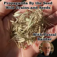 Propaganda By The Seed artwork