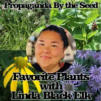 Propaganda By The Seed artwork