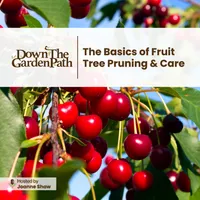 Down The Garden Path Podcast artwork