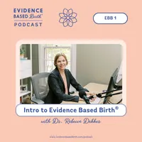 Evidence Based Birth® artwork