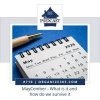 Organize 365 Podcast artwork