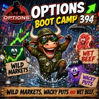 Options Boot Camp artwork