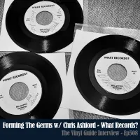 The Vinyl Guide - Artist Interviews for Record Collectors and Music Nerds artwork