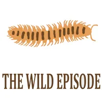 The Wild Episode artwork