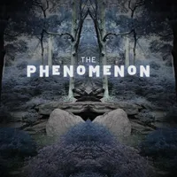 The Phenomenon artwork