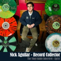 The Vinyl Guide - Artist Interviews for Record Collectors and Music Nerds artwork