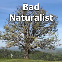 Backyard Ecology™ artwork