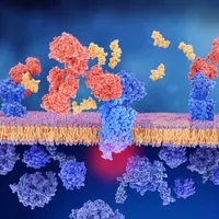 JAMA Neurology Author Interviews artwork