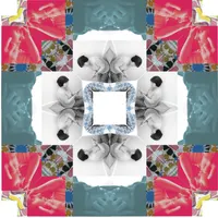 Las Raras artwork