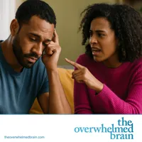 The Overwhelmed Brain artwork