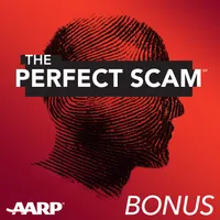 The Perfect Scam artwork