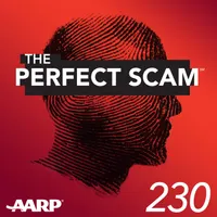 The Perfect Scam artwork
