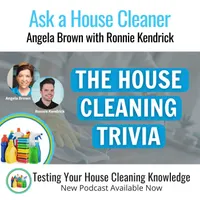 Ask a House Cleaner artwork