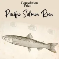 Consolation Prize artwork