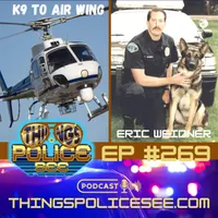 Things Police See: Firsthand Accounts artwork