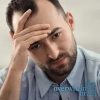 The Overwhelmed Brain artwork