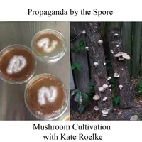 Propaganda By The Seed artwork