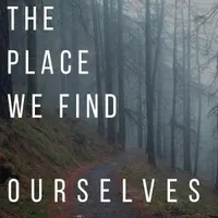 The Place We Find Ourselves artwork