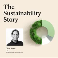 The Sustainability Story artwork