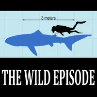 The Wild Episode artwork